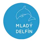 MSI 55 08 pic 01 logo