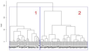 MSI 59 02 pic 03 Dendrogram